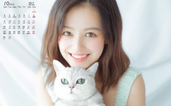 我的兔子好软水好多视频高清